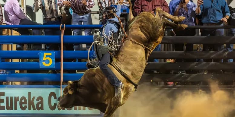 Rider competing in bull riding
