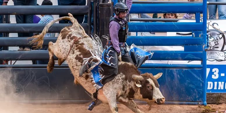 Children competing in mini bulls