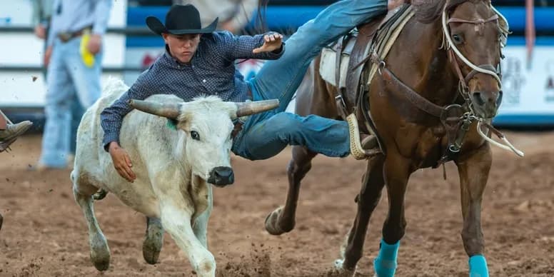 Cowboy competing in steer wrestling