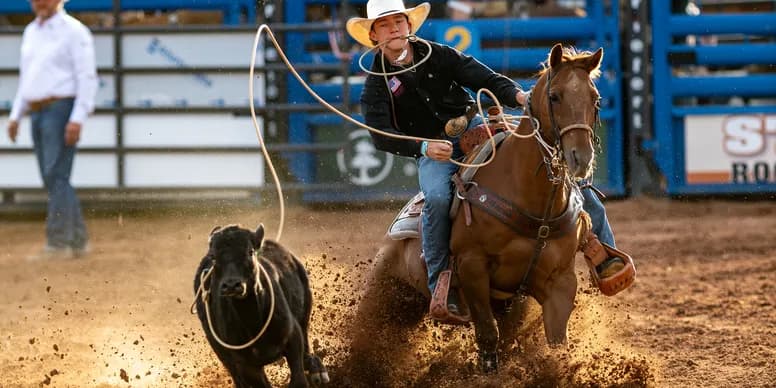 Rider competing in tie down roping