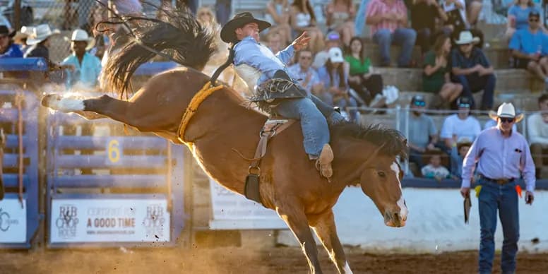 Event Sponsor sponsor opportunity graphic