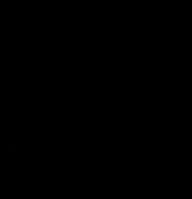 Larsen event sponsor logo